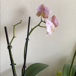 Meet your Posher, Nathan